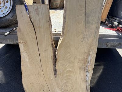 WHITE OAK WOOD FOR PROJECTS