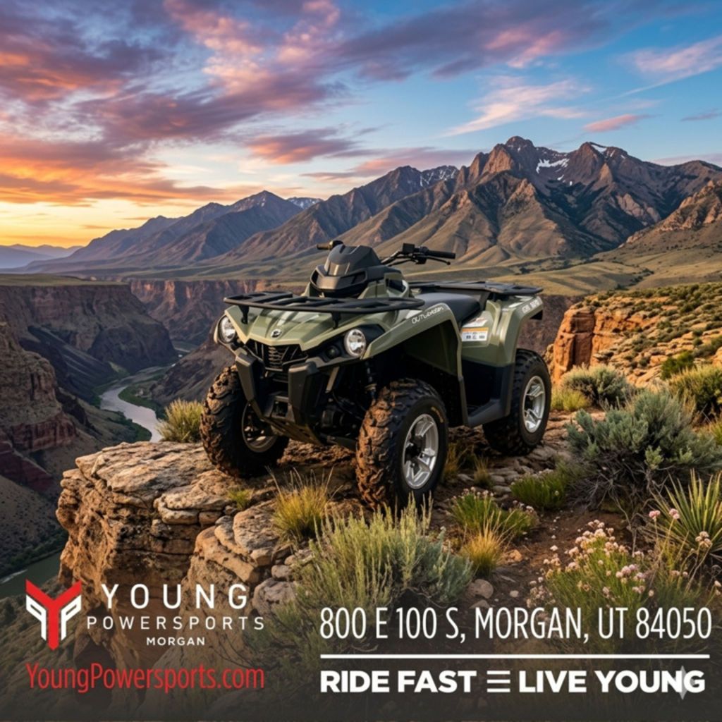 2018 Can-Am® Outlander™ DPS™ 450