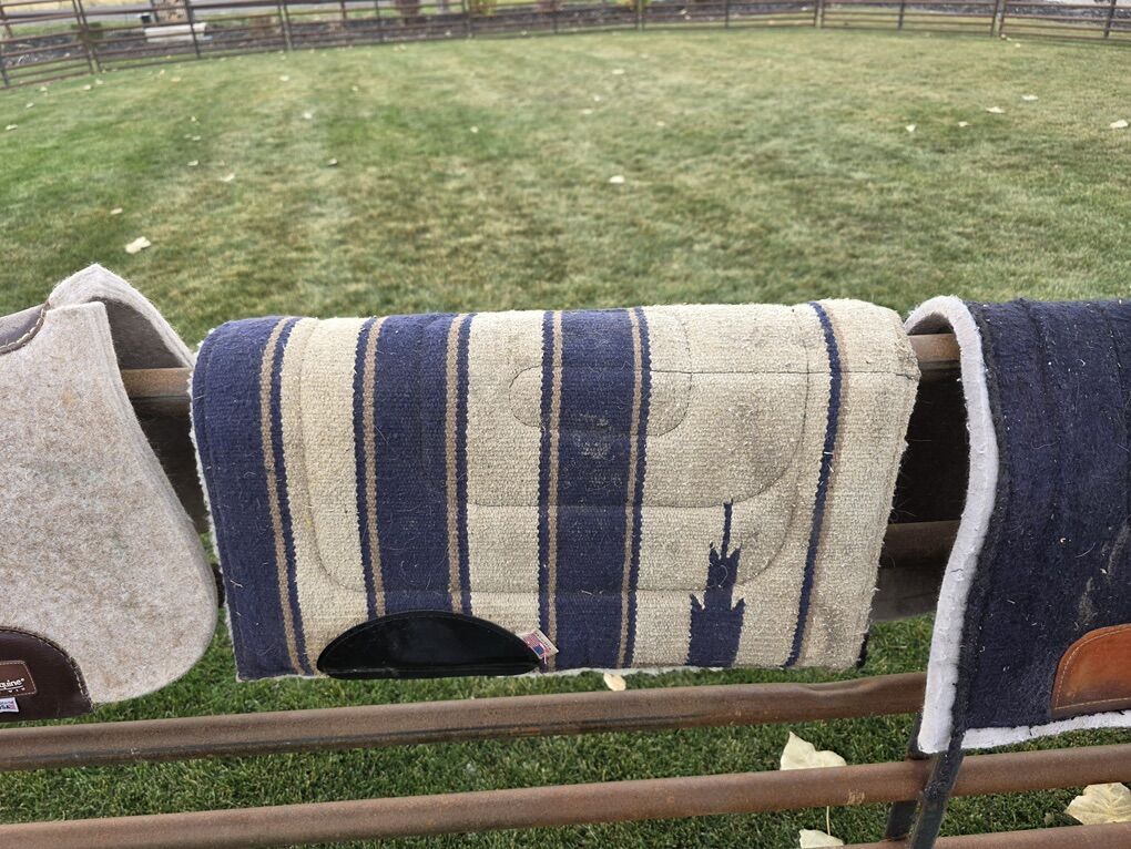 horse blanket