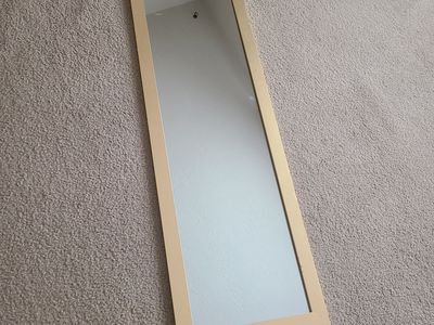 Full length mirror 50.25X14.25