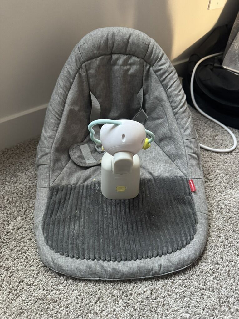 Skip Hop Baby Seat