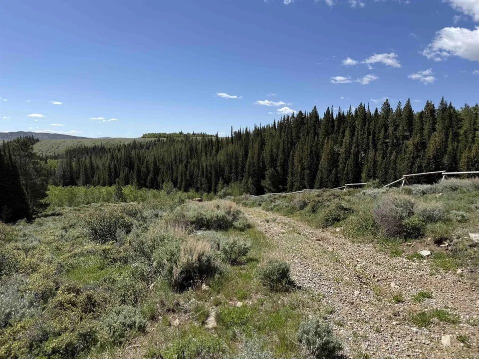 Main image 9
