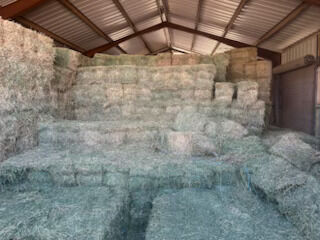 WINTER HAY SPECIAL - $8 a bale when you BUY 50 Bales or More