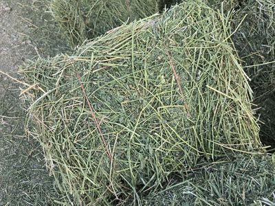 Straight Alfalfa 65-70lb bales
