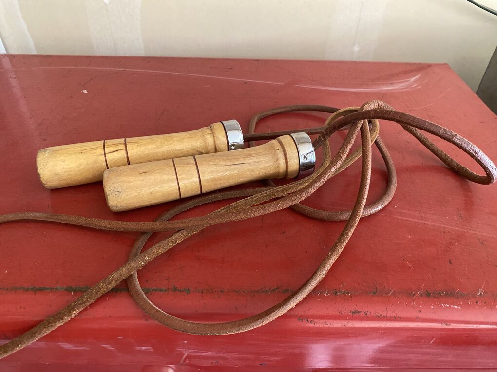 Leather Jump Rope With Ball Bearings