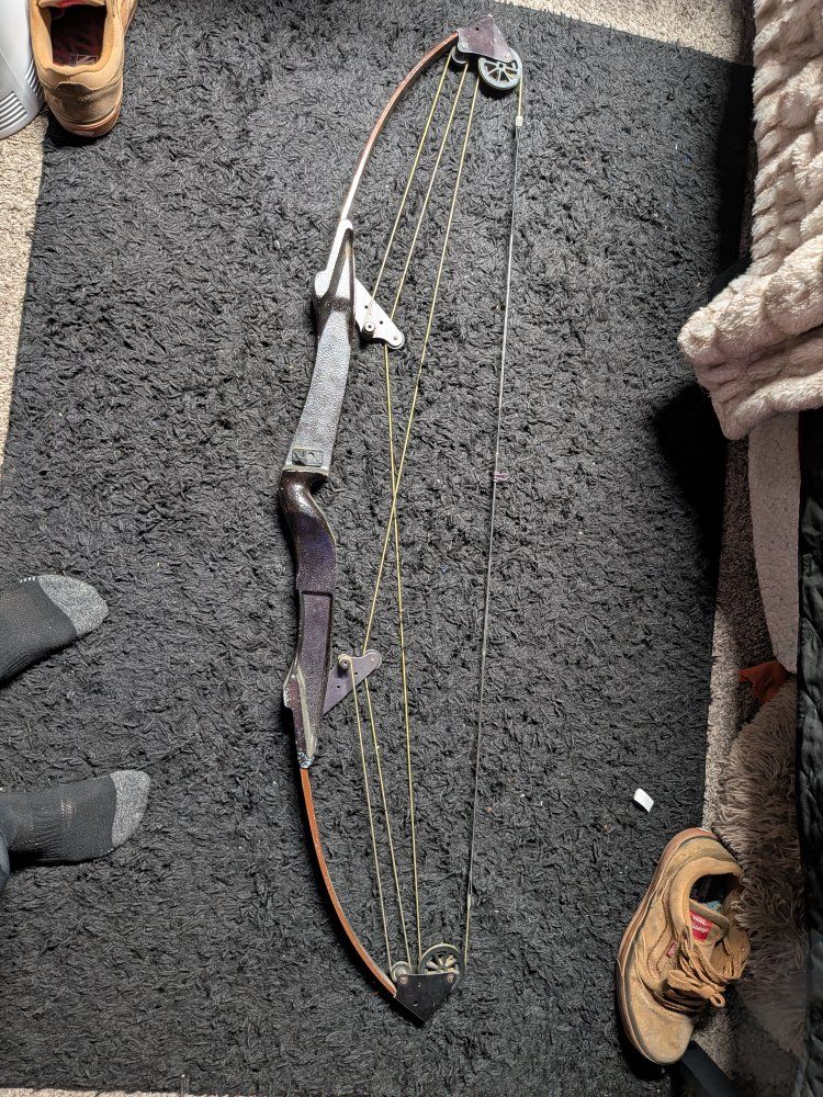 whitetail hunter bow