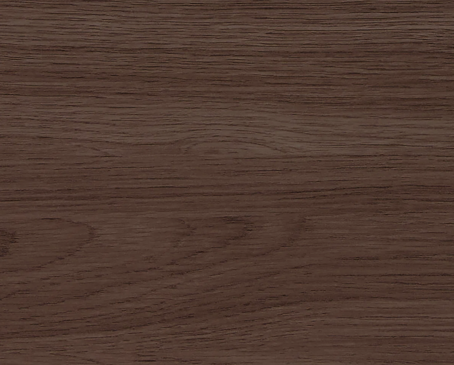 Main image 4