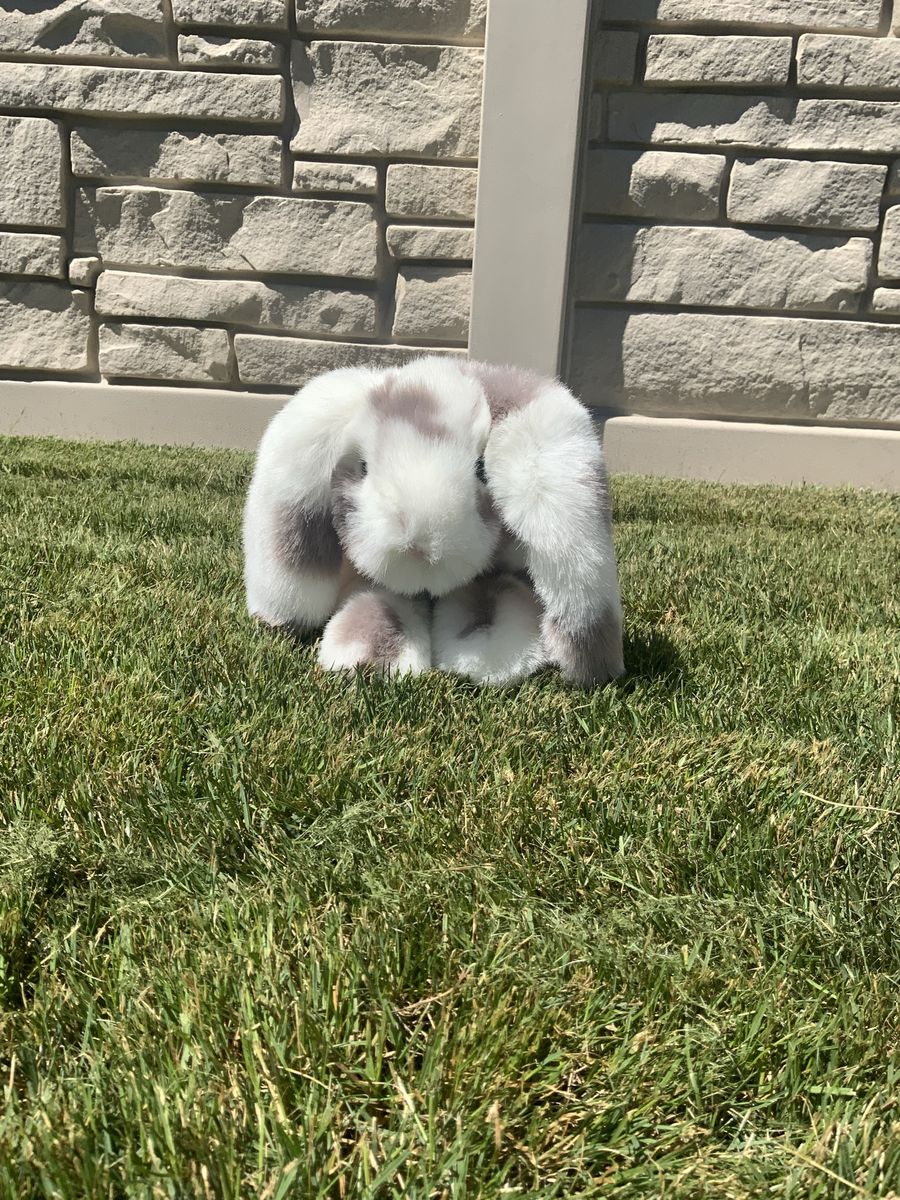 Douglas Ramsey DLux Gray Spotted Bunny
