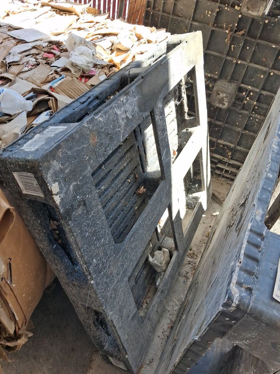 Main image 4