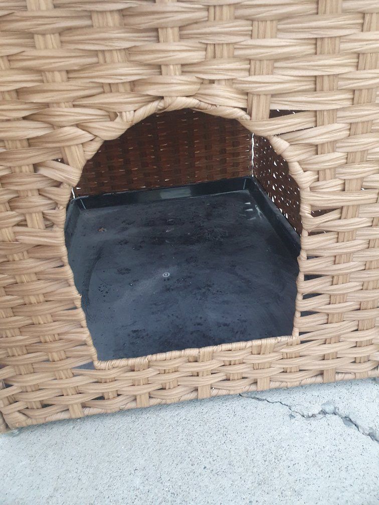 Main image 13