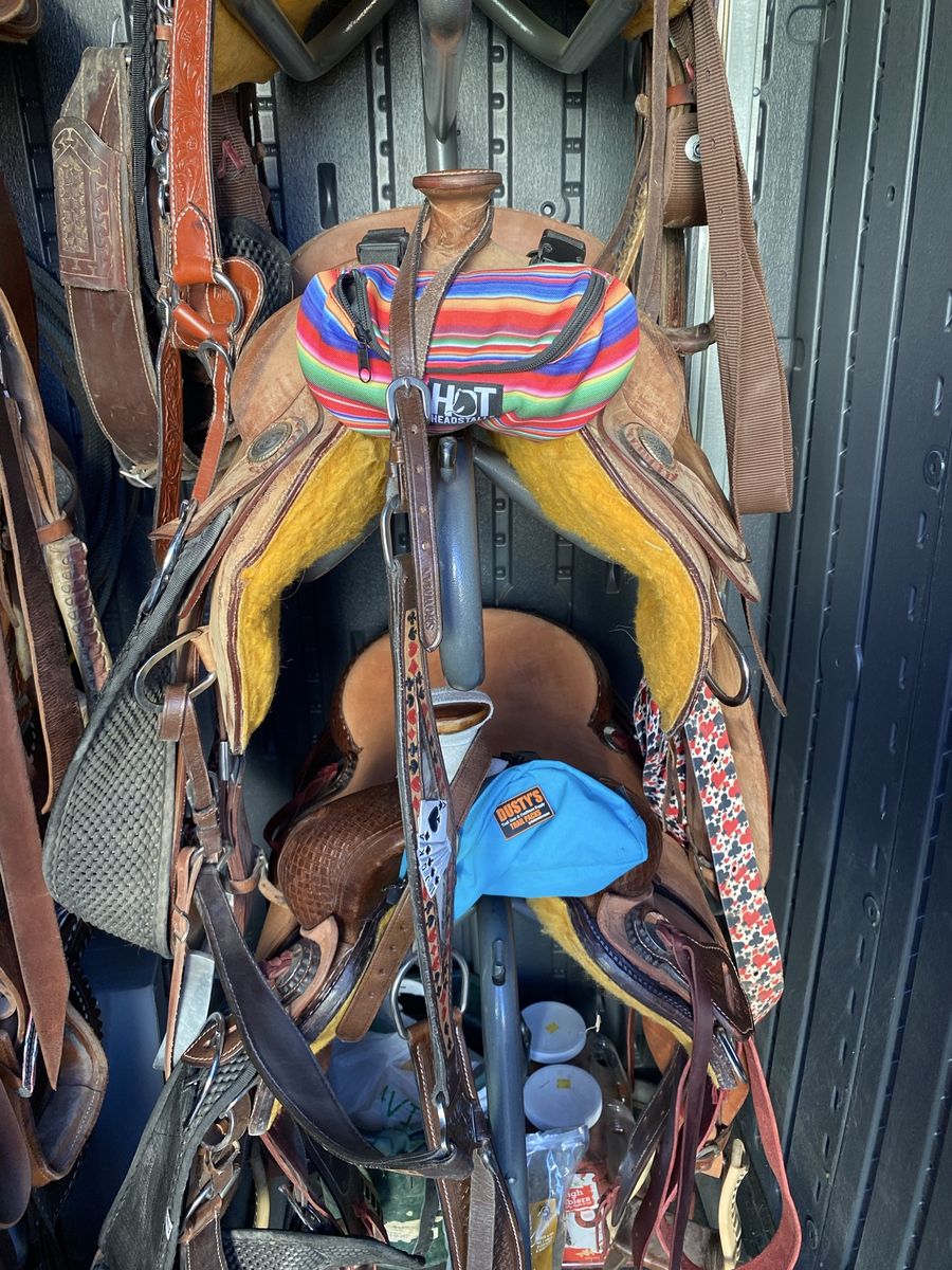 Training Saddle