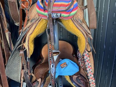 Training Saddle