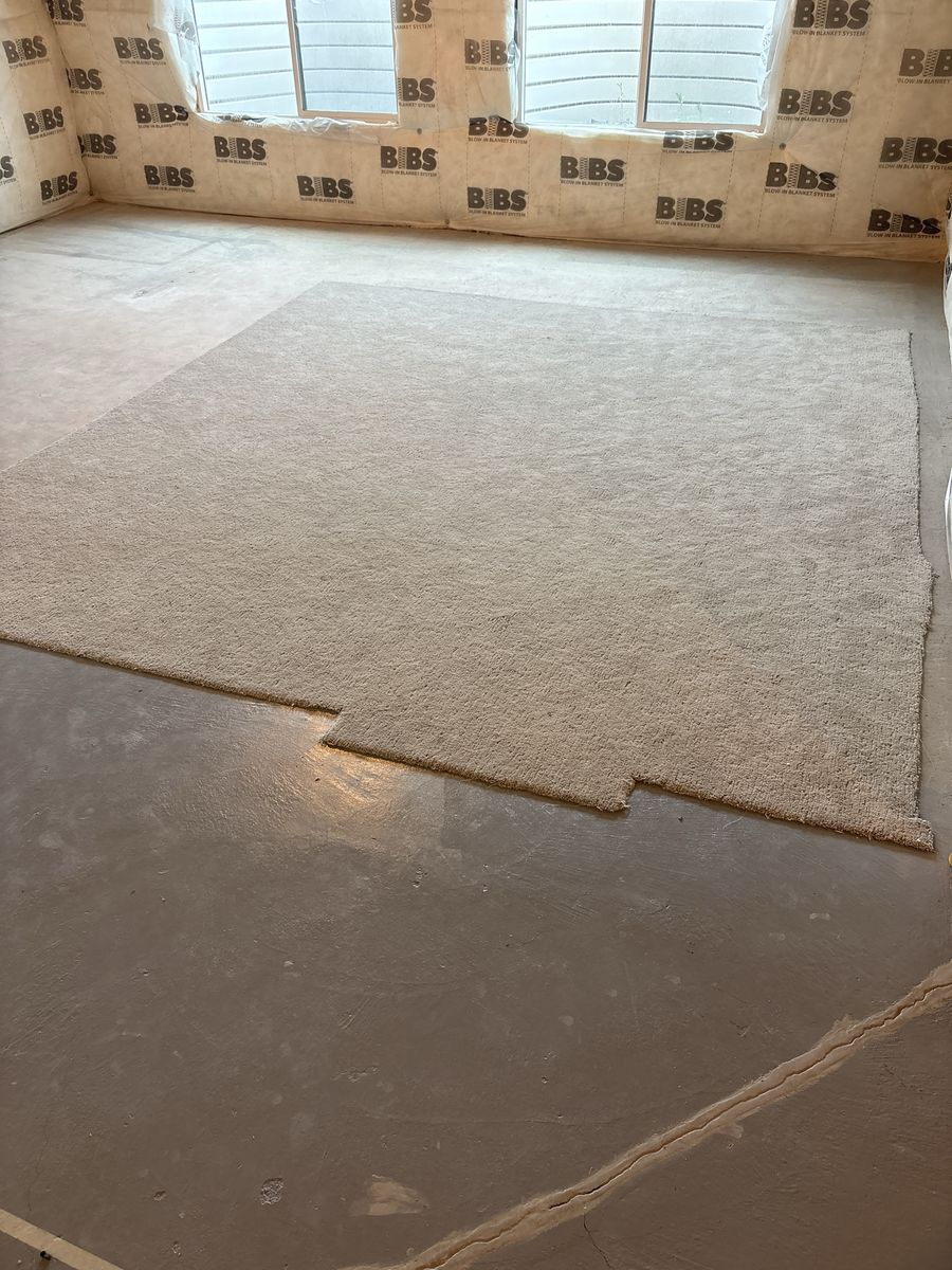 FREE Carpet FCFS