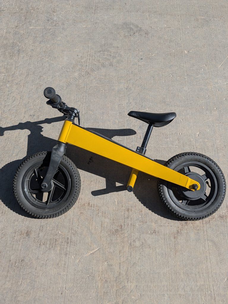 Balancing Electric Bike
