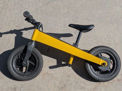 Balancing Electric Bike