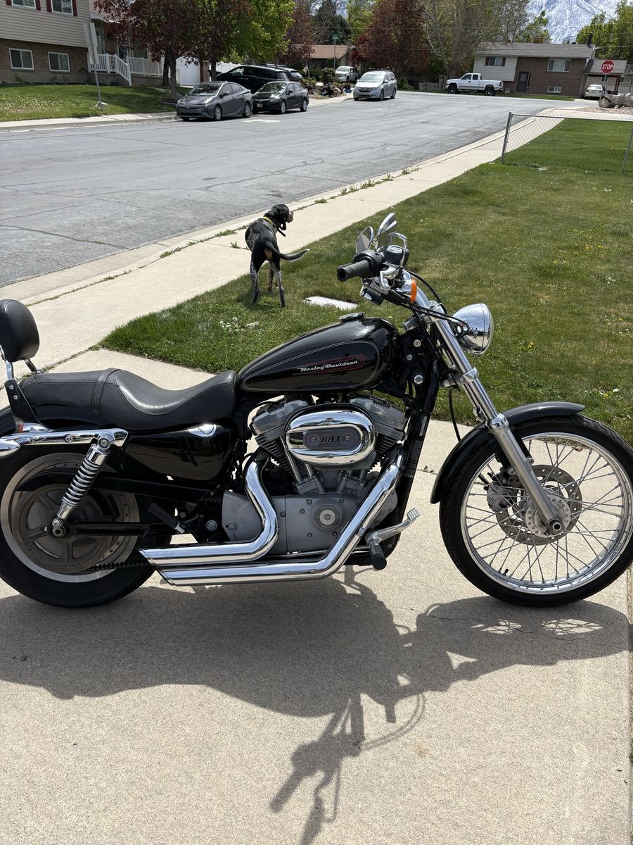 2009 Harley Davidson sportster 883
