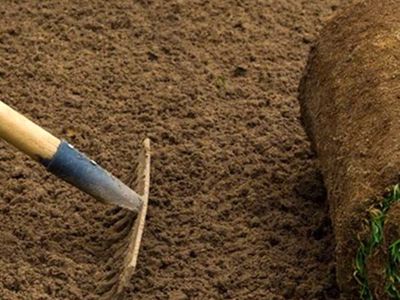 Fast Topsoil Delivery For Sod & Grass Seed