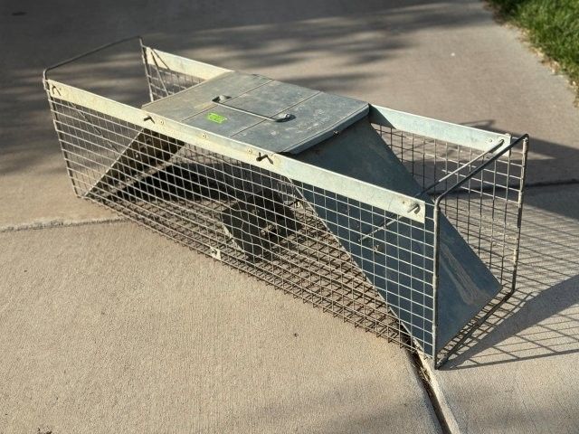 Havahart Two-Door Live Animal Cage Trap