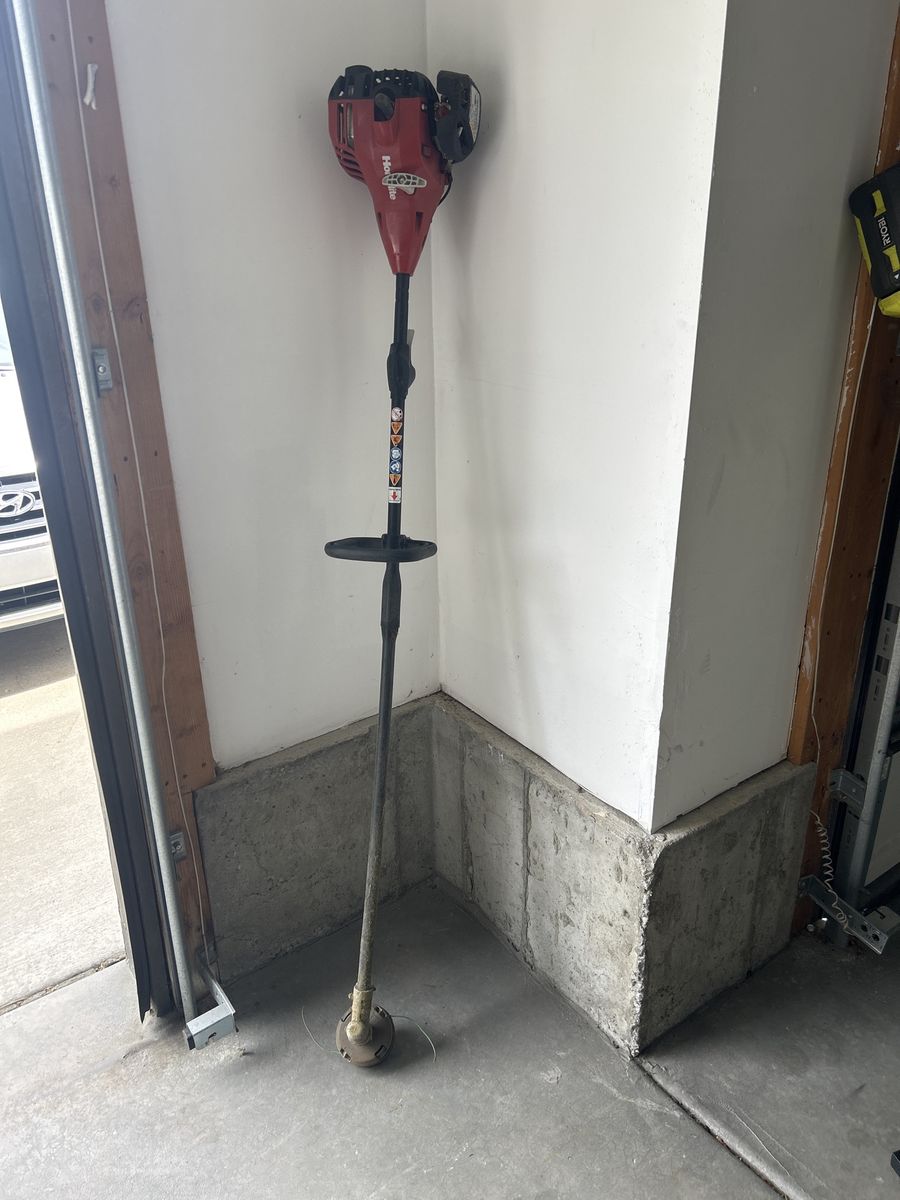 Homelite edger
