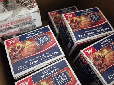 Winchester 22LR bulk packs - America Anniversary Editions