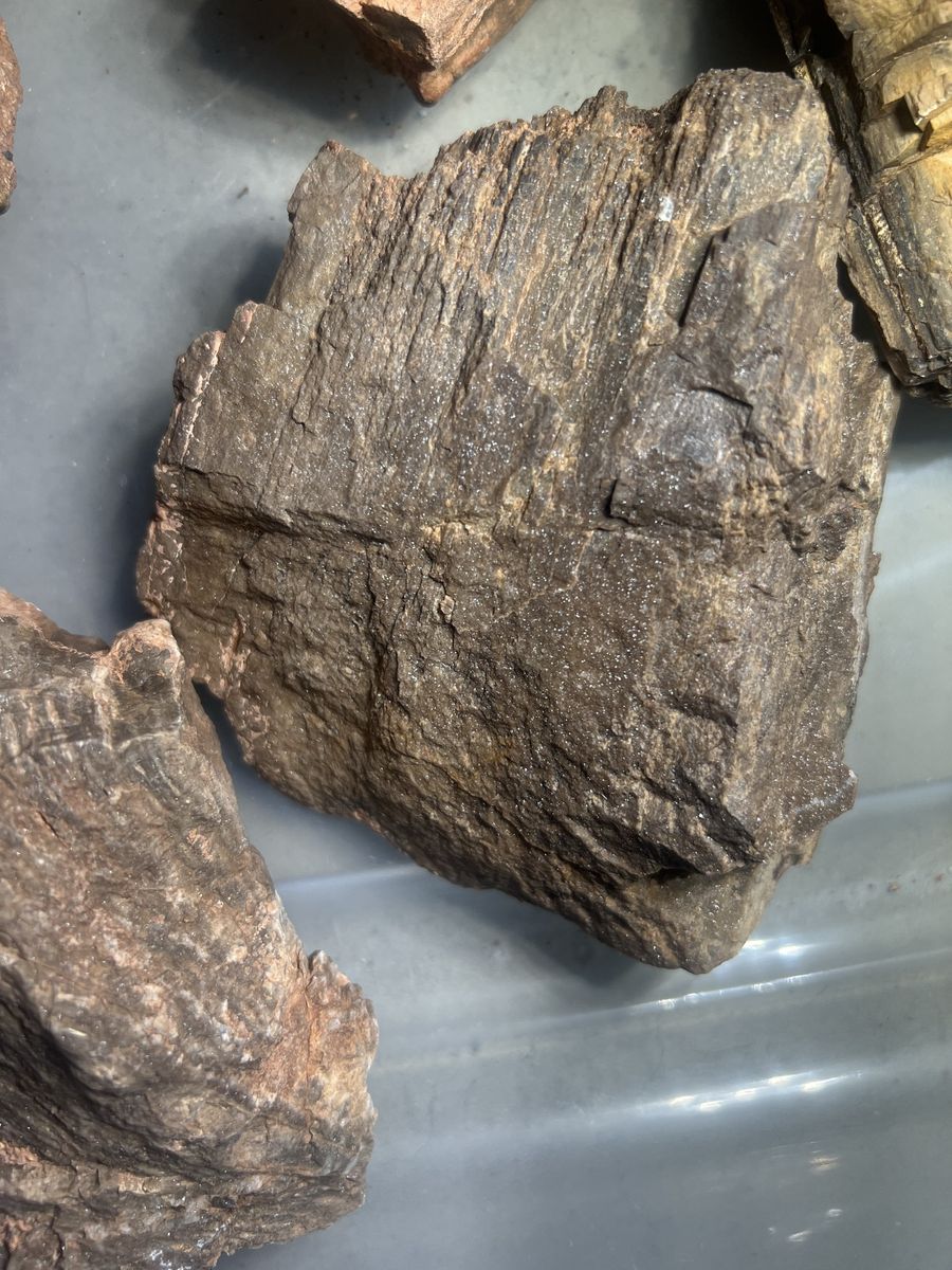 Main image 5