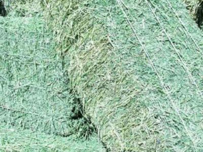 ISO Feeder Hay – Fillmore Area
