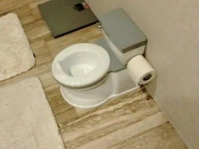 Toddler Potty Training Toilet