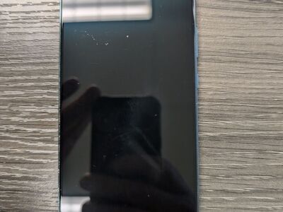 Samsung S22+, 256 gb, Unlocked