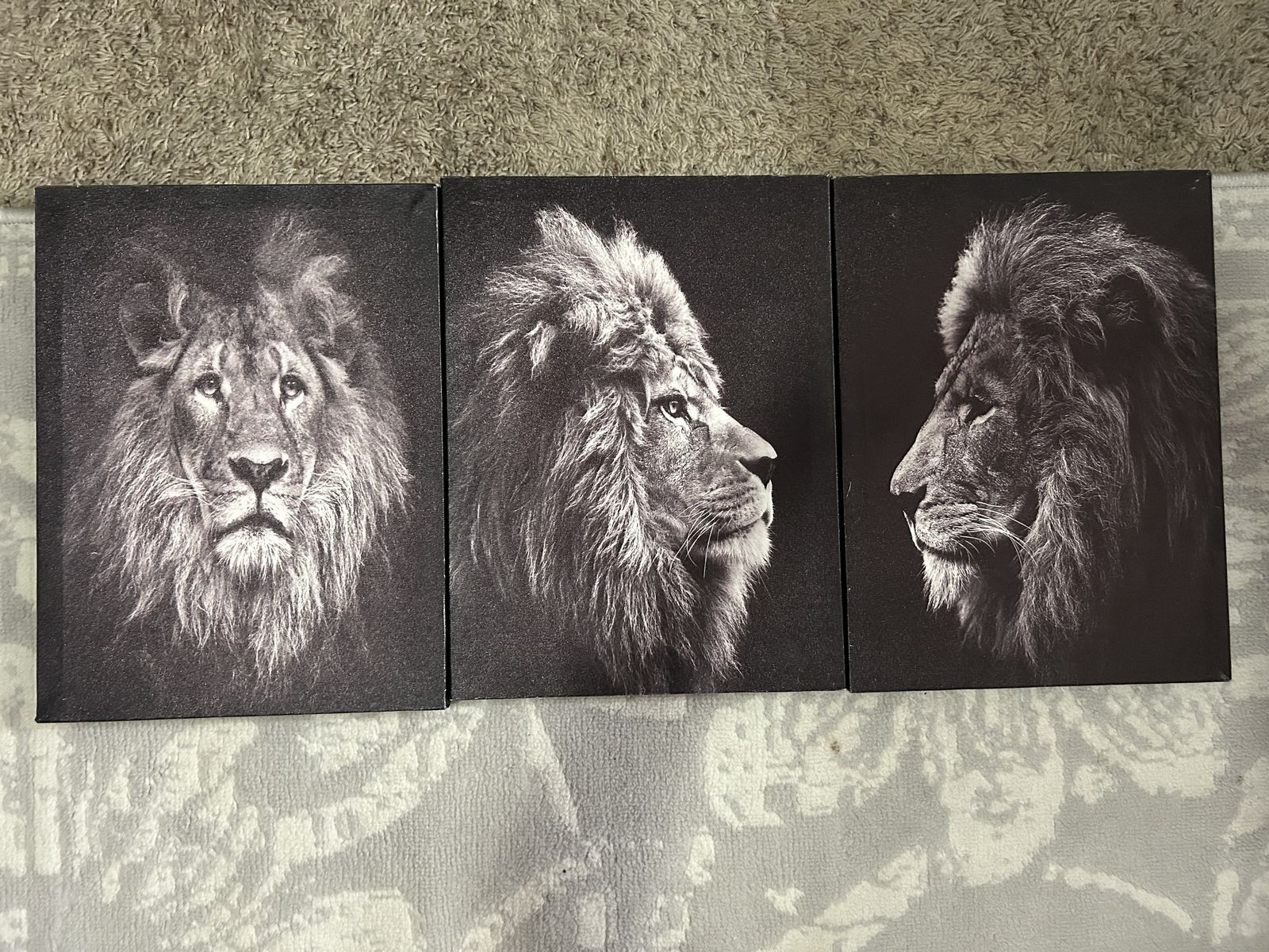 Lion Paintings