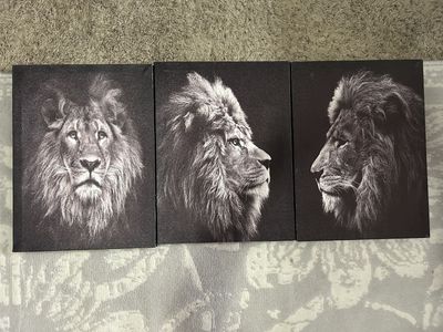 Lion Paintings