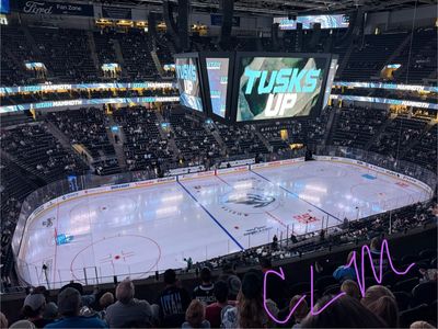 Utah Mammoth vs St Louis Blues 4/16 -2 Tickets