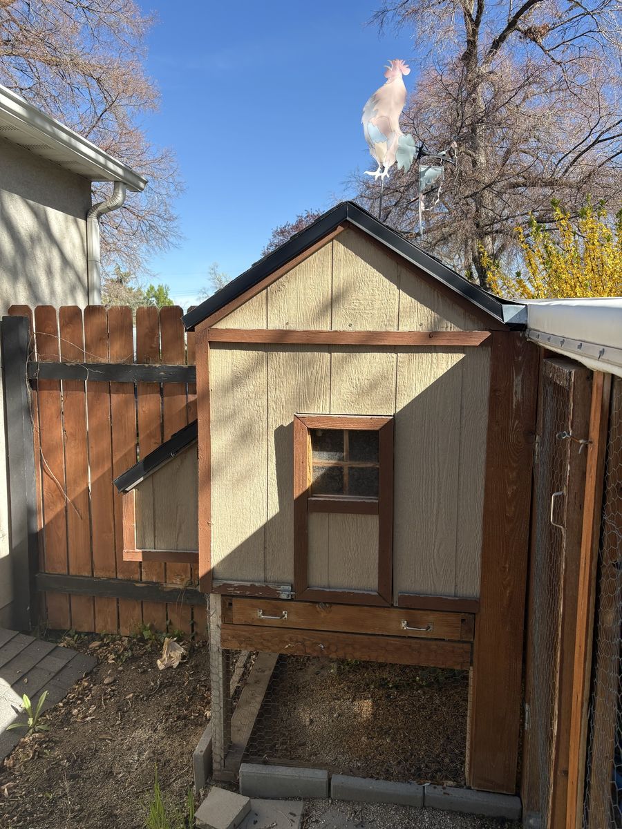 Free chicken coop