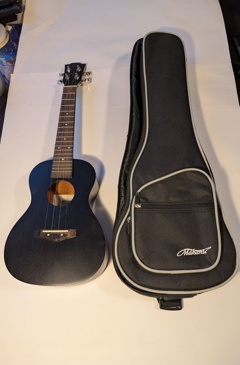 Ukulele and Carrying Case