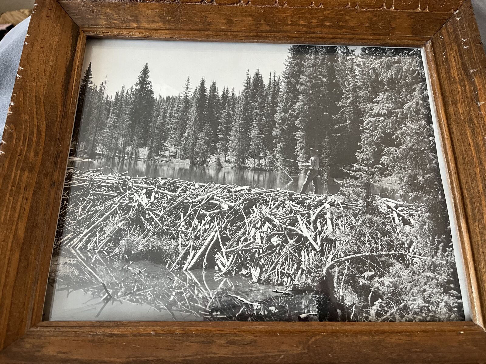 Vintage Black & White Forest Photo
