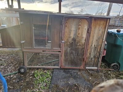 Very Large chicken coop