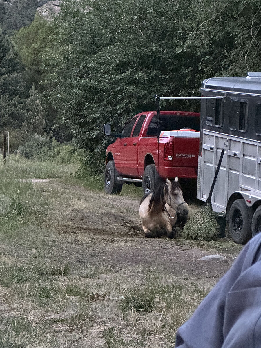 Maverick Lite Deluxe - 3 horse