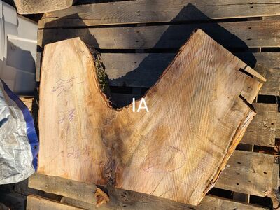 Silver Maple Slabs IA- IJ Pile 12 $10 board foot