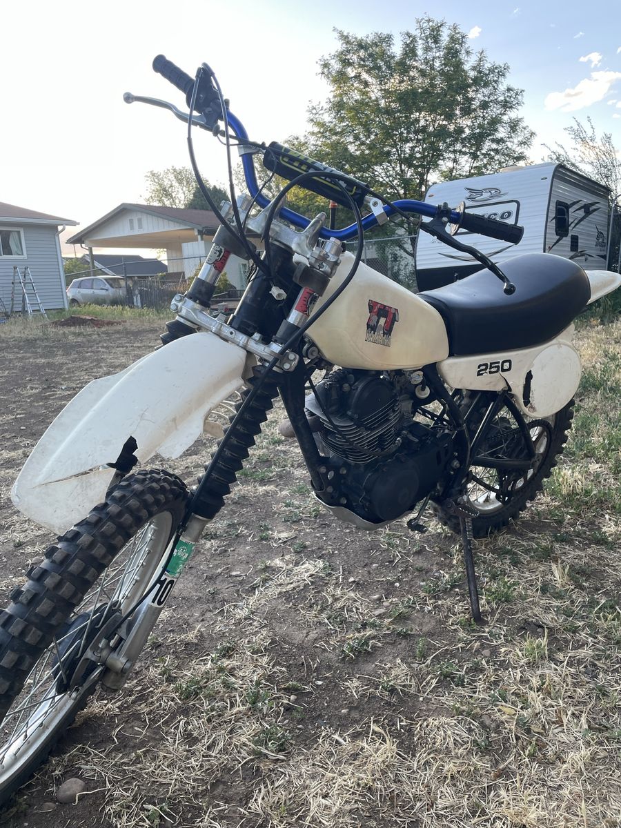 1981 TT 250