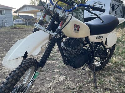 1981 TT 250