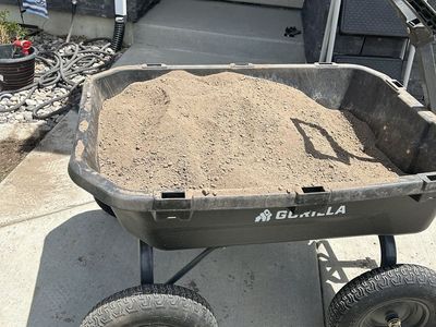 Free - Screened Topsoil (large barrow full)