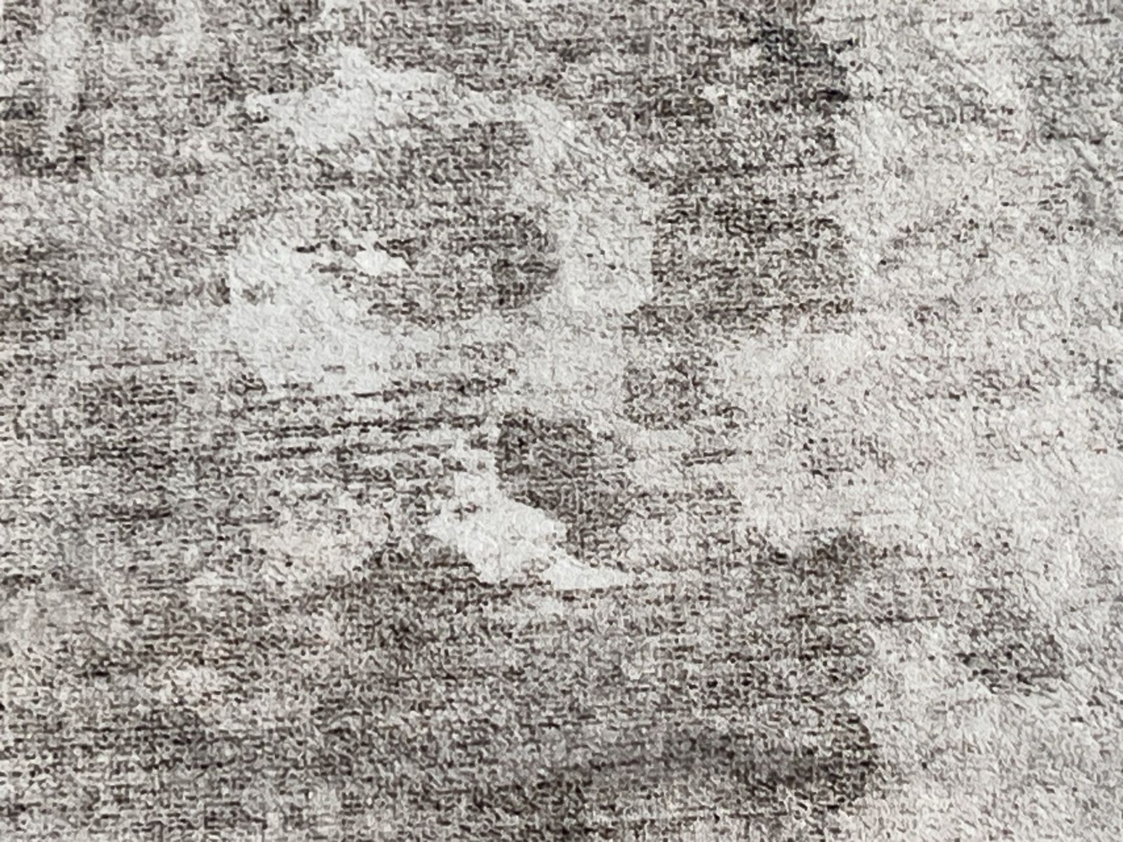 Main image 10
