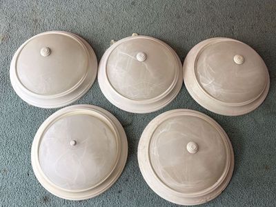 Flush mount lights