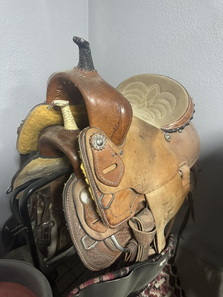 Kids Saddle