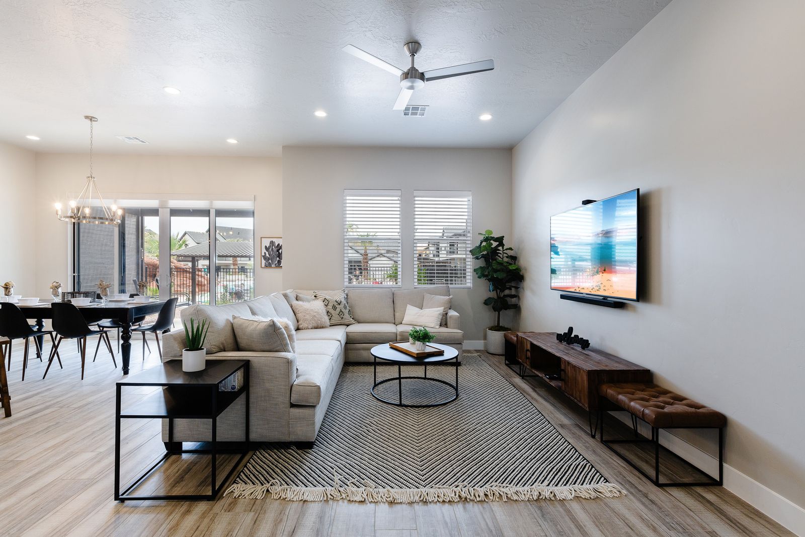Ocotillo Springs 27