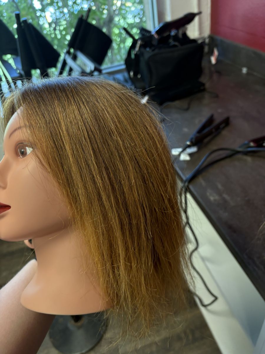 Cosmetology Training Mannequin Heads x3 with Brown Hair