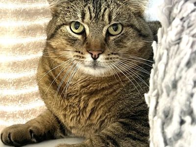 Hello my name is Donnie