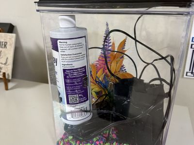 Aquatic Experts 2.5 Gallon Freshwater Aquarium Kit w/ Filter, Clarifier, Gravel & Decor