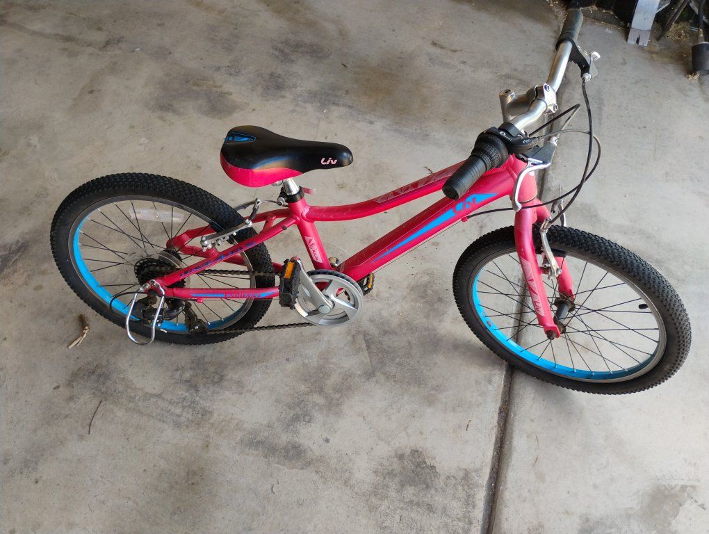 Giant Girls Mountain Bike