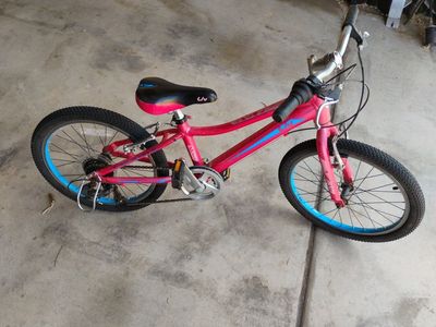 Giant Girls Mountain Bike