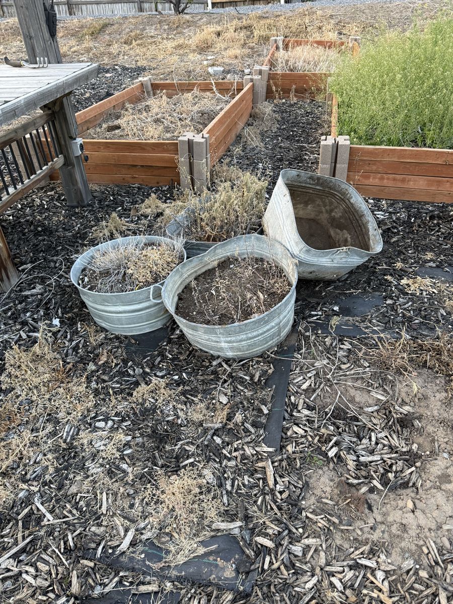 Rustic Galvanized Metal Tubs - 4 Piece Set for Garden Planters or Decor